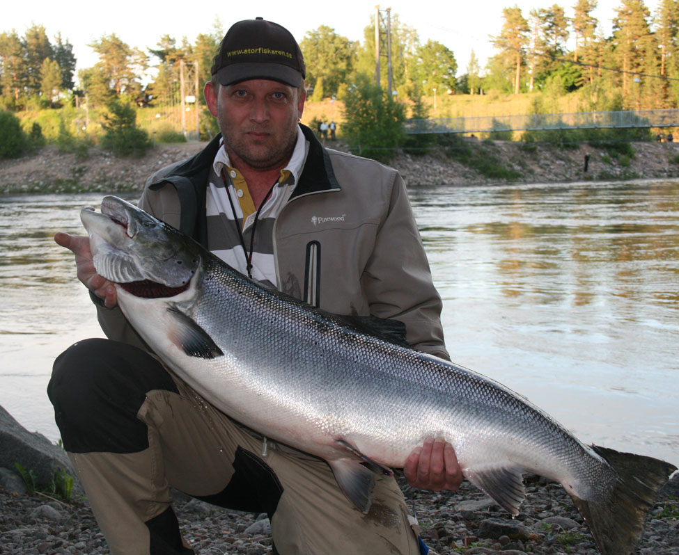 Lax 18,7 kg Molle