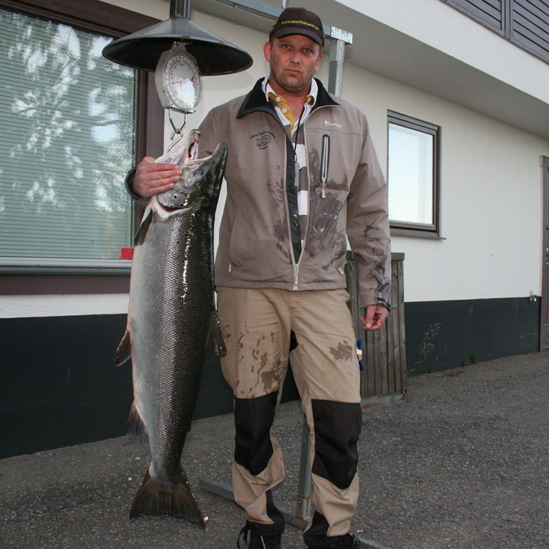 Lax 18,7 kg