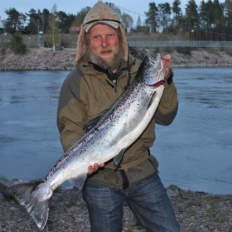 Bosse Lindholm Lax 7,1