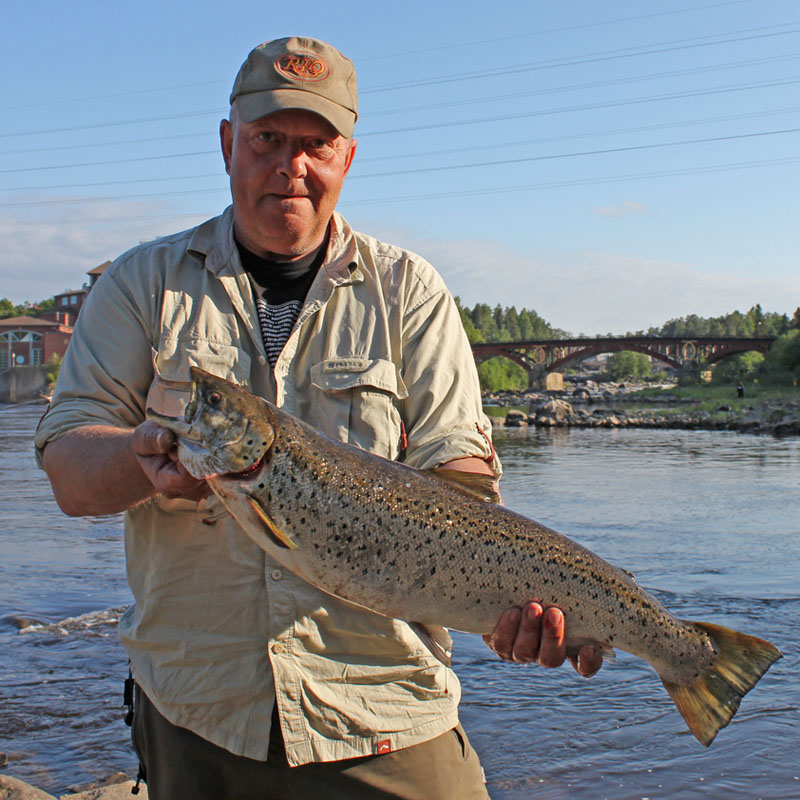 Bengt med fin sommar öring 4,6 kg