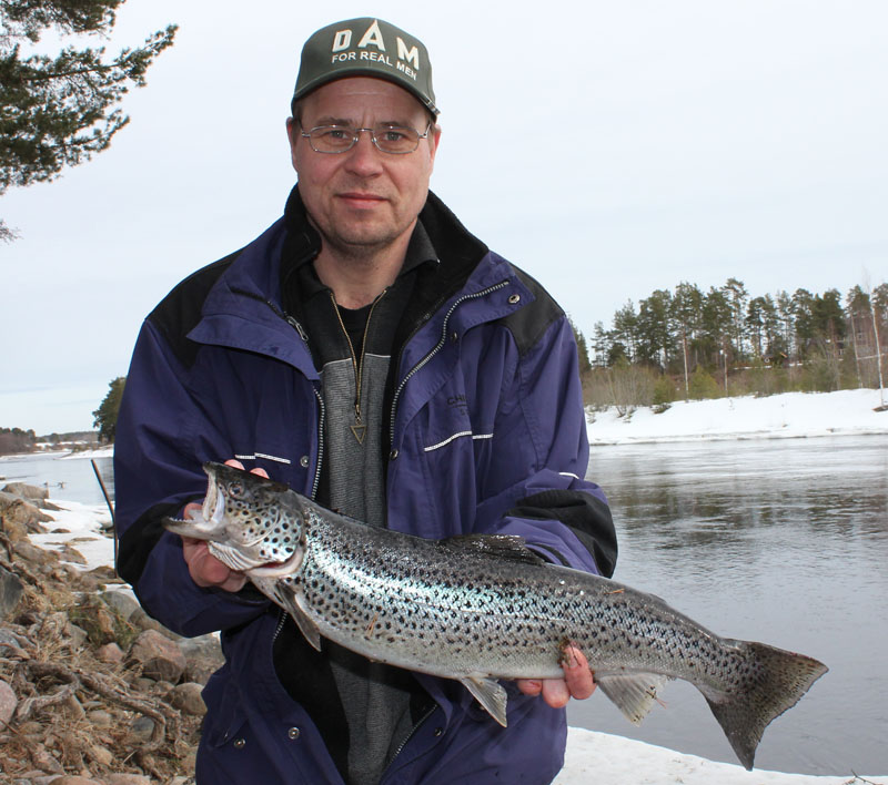 cribba med öring från älvkarleby. 1,9 kg