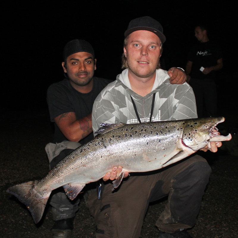 Henke lax 7,5 kg