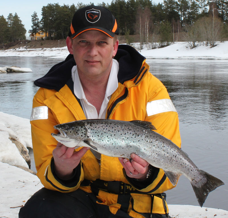 Molle med öring 1,8 kg