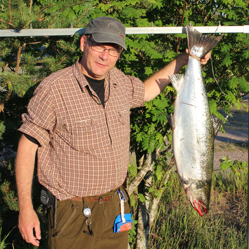 Öjving med 11kg Lax