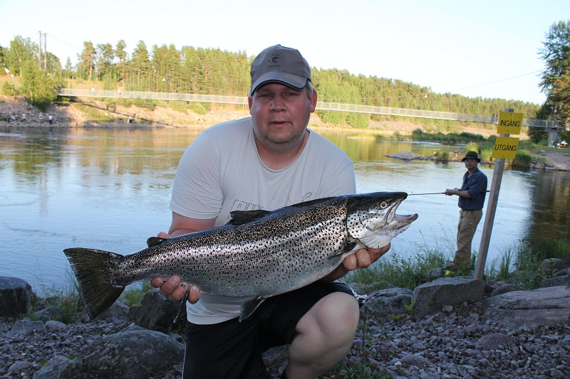 Nicklas Andersson med fin Öring 6,0 kg