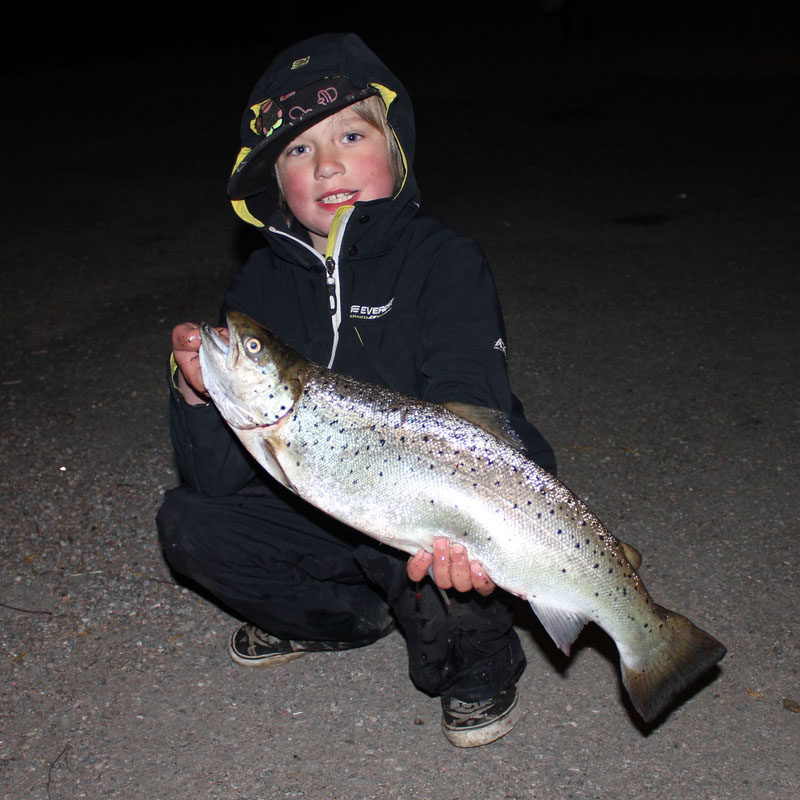 Sebbe Öring 2,7 kg