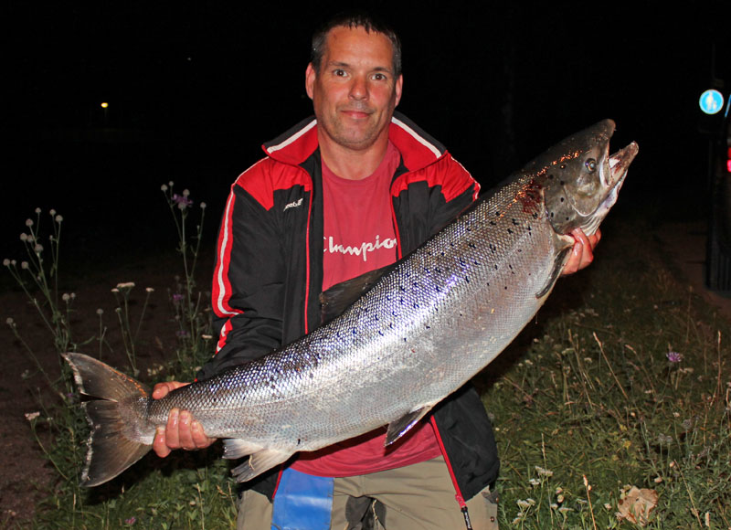 svedda med fin lax på 12,4 kg