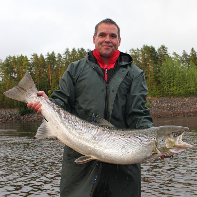 lax 13,2 kg Svedda