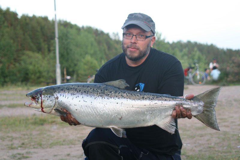 Tony Berggren med sin första lax i år. 11,2 kg