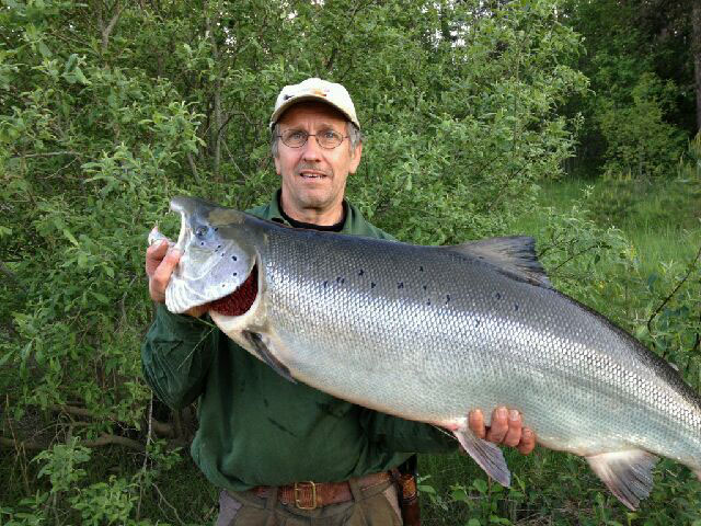 storlax från älvkarleby, 18,4kg. Arto Tokkanen