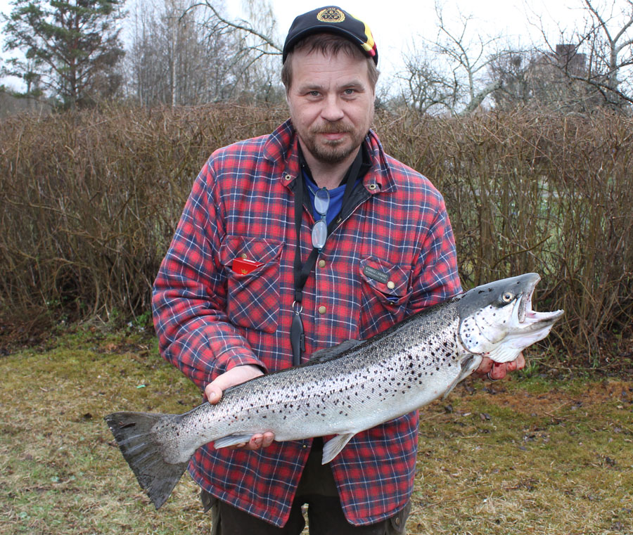 Cribba med storöring 4,3 kg