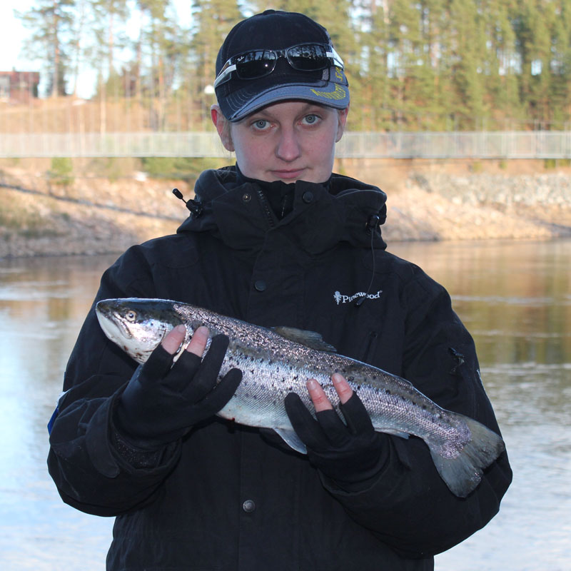 Hannas första öring i älvkarleby