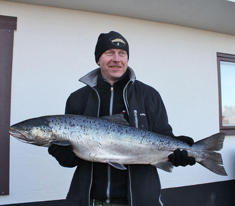 Magnus Jonsson med älvkarleby lax på 7,1 kg.