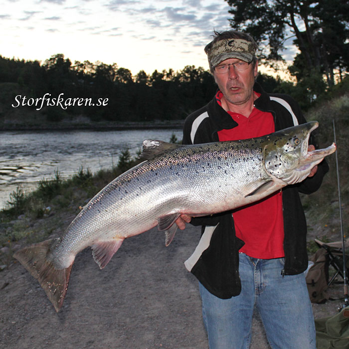 roger mellberg med lax 16,2kg