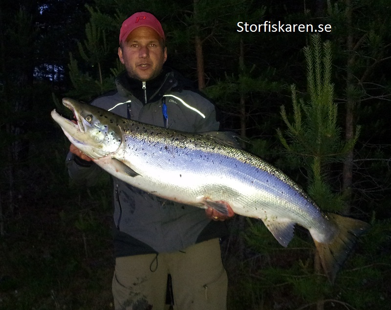 Mickael Malm med storlax  Älvkarleby