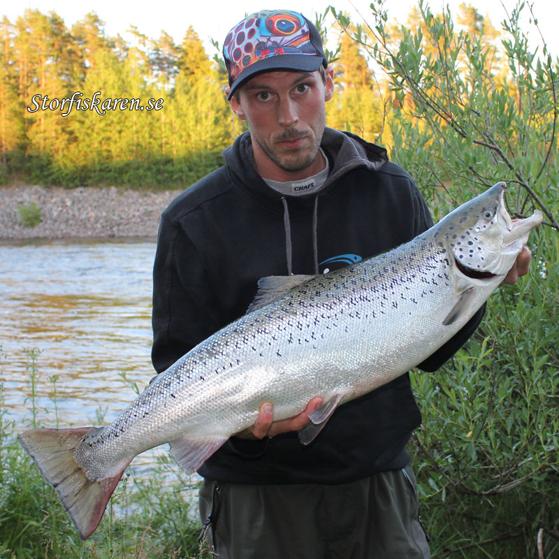 Tommy Muhr Lax 7,2kg Älvkarleby