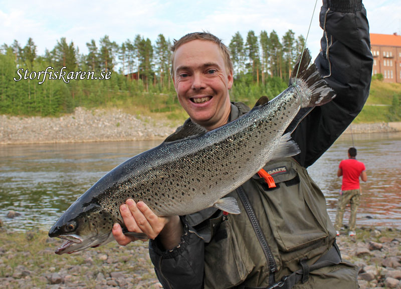 Nicklas Mattsson med älvkarleby öring 4,2 kg