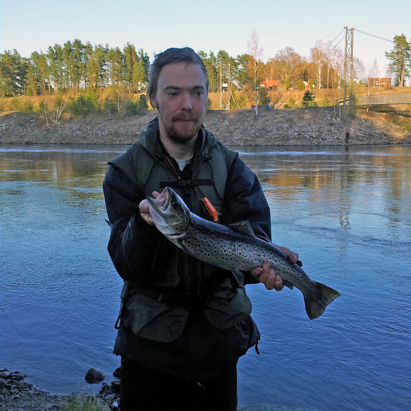 Nicklas mattson med öring. Älvkarleby