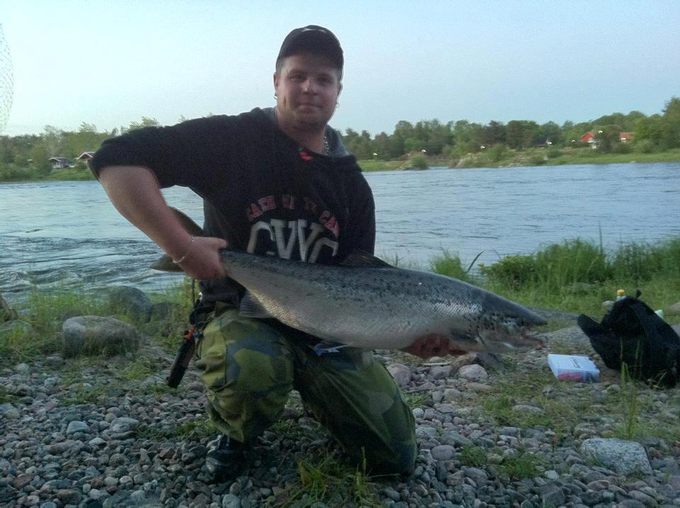 älvkarleby lax 10,5kg