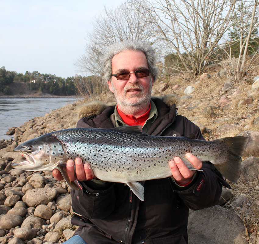Öring 3,6 kg Älvkarleby