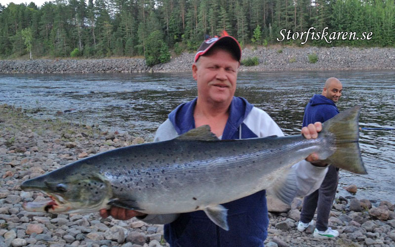 Anders Peltokangas med Älvkarleby Lax 13,5kg