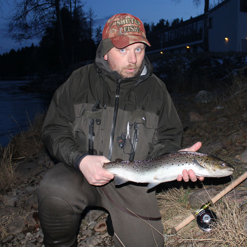 raitan med flugspö öring