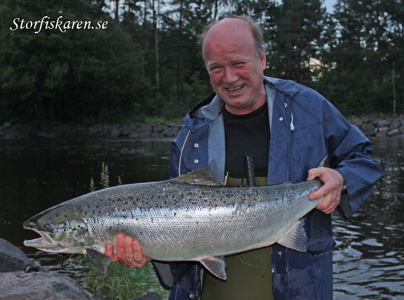 Runo Söderlind med Älvarleby Lax 13,0 kg