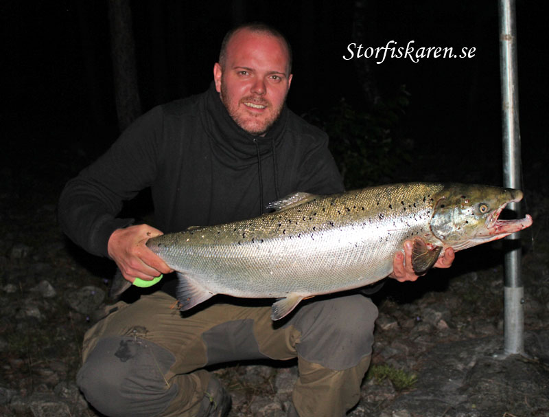 Staffan Jonsson med älvkarleby lax