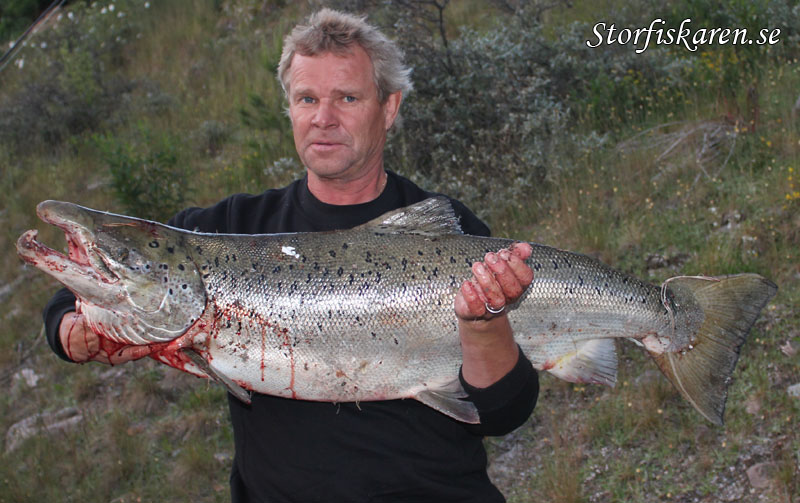 Sven Tjäder Lax 15,1kg. Älvkarleby