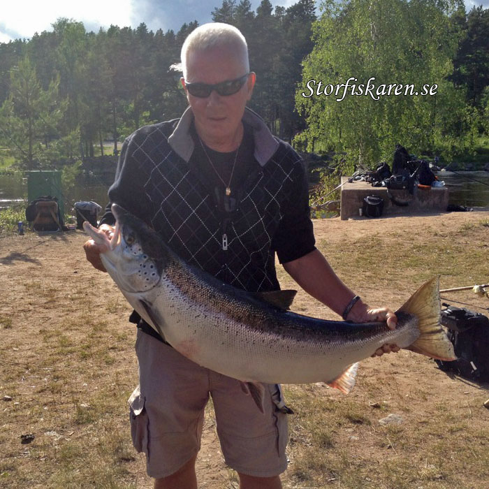 Torbjörn Lindkvist med 13,4kg lax. Älvkarleby