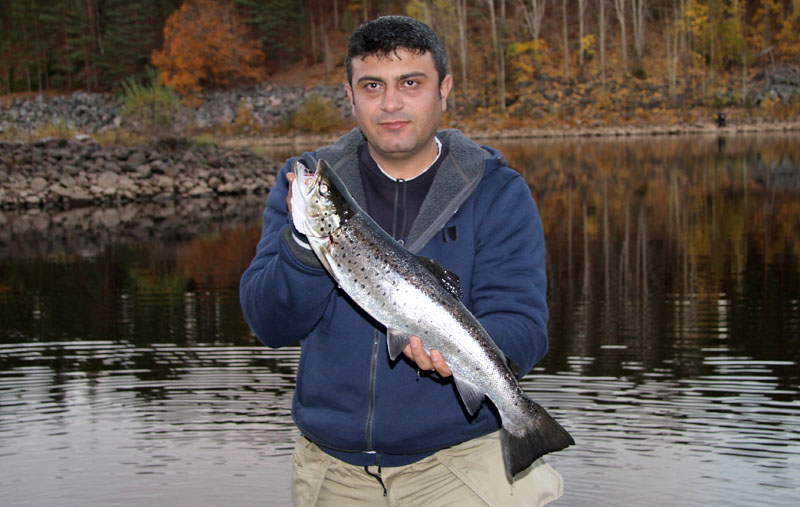 Hikmet med en Älvkarleby Öring på 1,9 kg.