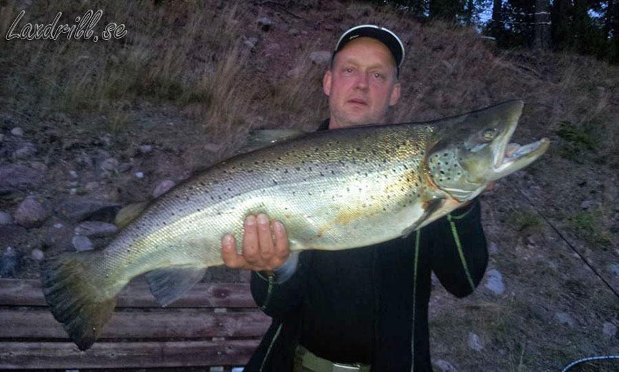 Storöring från älvkarleby. 9,2 kg