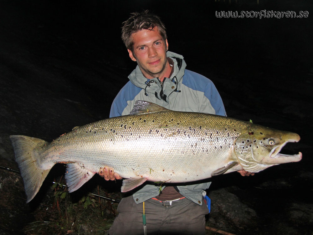 David L med storlax. 17,2 kg
