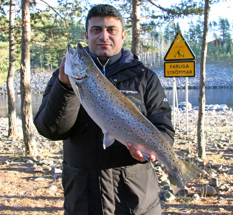Hikmet Isirgan med älvkarleby öring på 3,35 kg