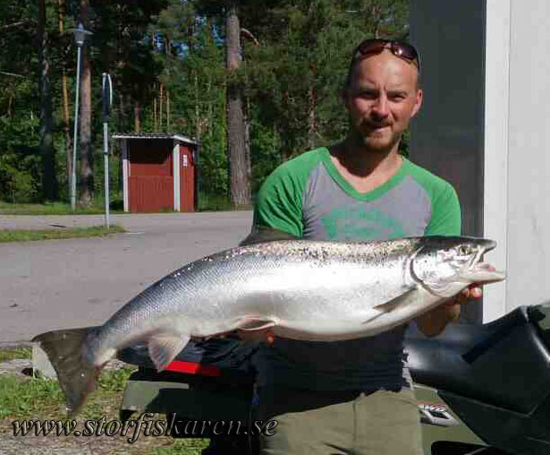 Lars Ekeblom. Lax 11,96 kg. Älvkarleby