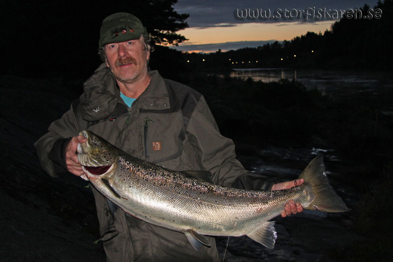 Håkan Lukkarinen med älvkarleby lax 11,8 kg