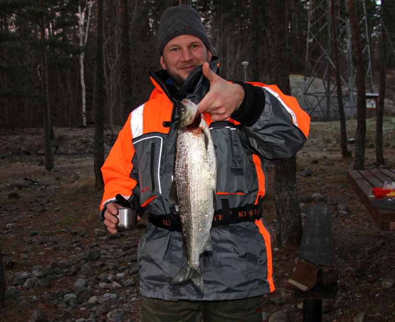 Micke Malm med sik från årvara i älvkarleby