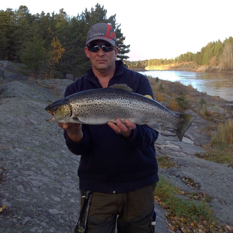 Peter "Molle" Berggren med 3,0 kg öring från älvkarleby