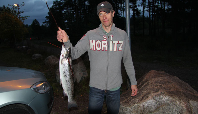 Stefan med en älvkarleby öring 3,1 kg