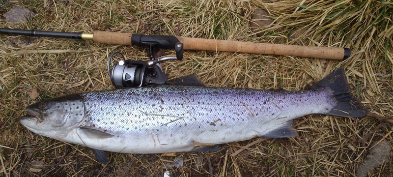 Öring 3,2 kg.