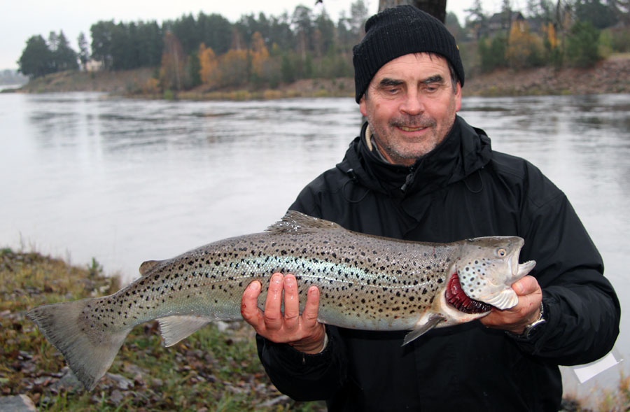 Conny Eriksson med tävlingens största havsöring