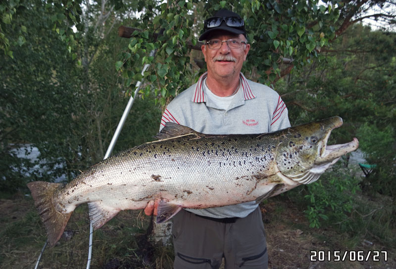 PO Nykvist Lax 14,7kg Älvkarleby