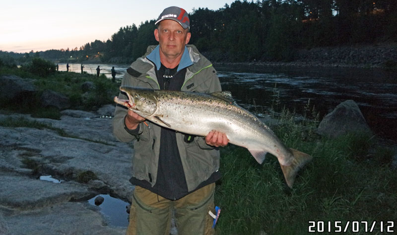 Peter Berggren Lax 8,1 kg. Älvkarleby