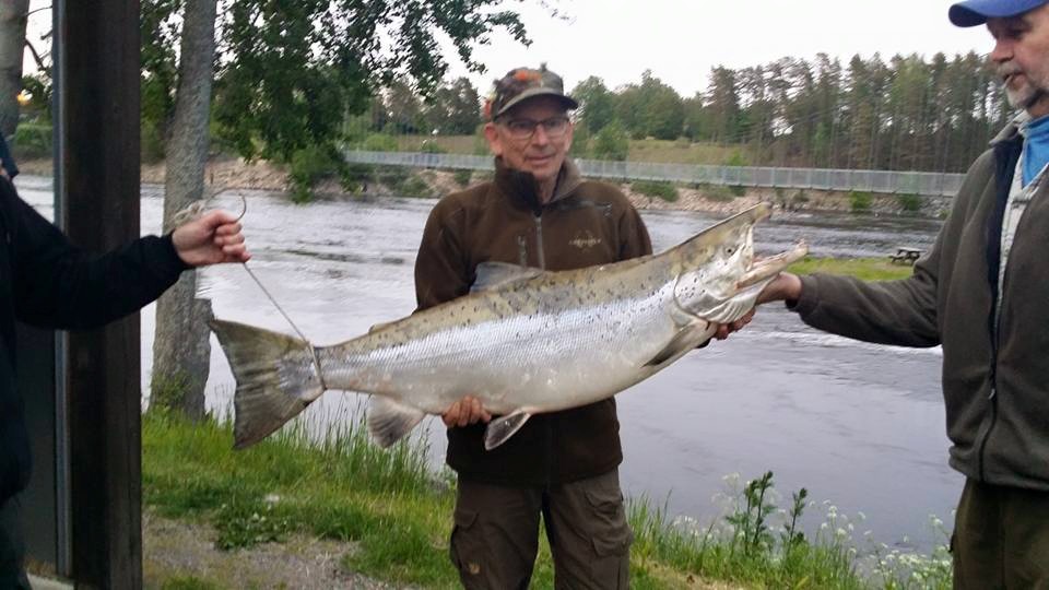 Roger Galin Lax 19,8 kg
