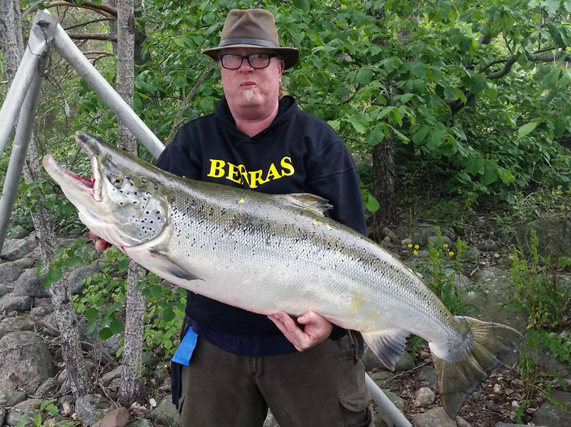 Micke Alström storlax 22,2 kg