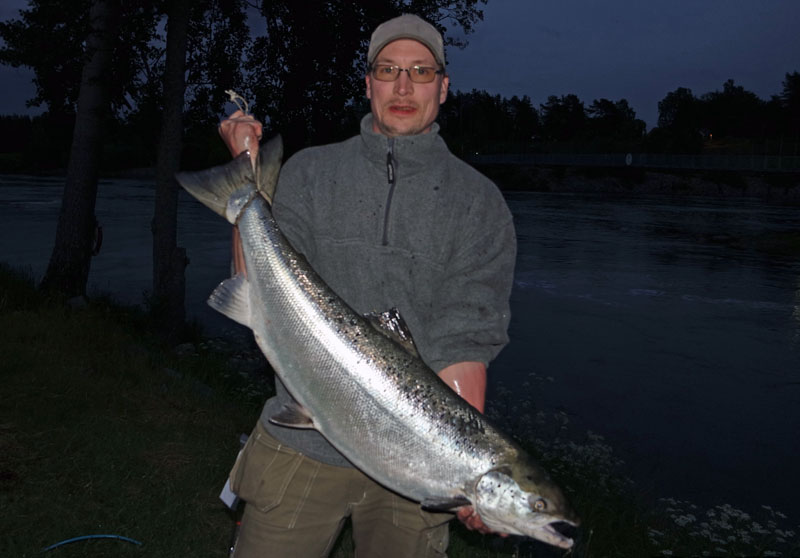 andro olesk1425