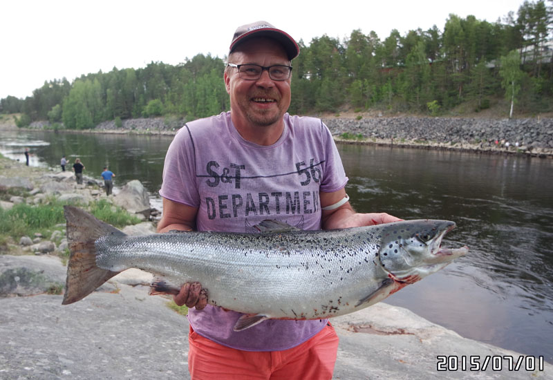 Crister "cribba" Widell Lax 8,3 kg. Älvkarleby