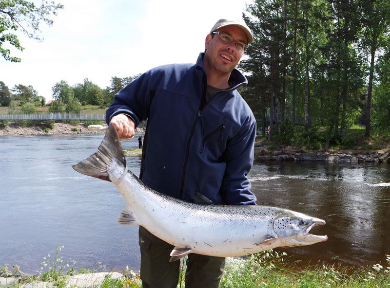 mikaellarsson 12,6 kg