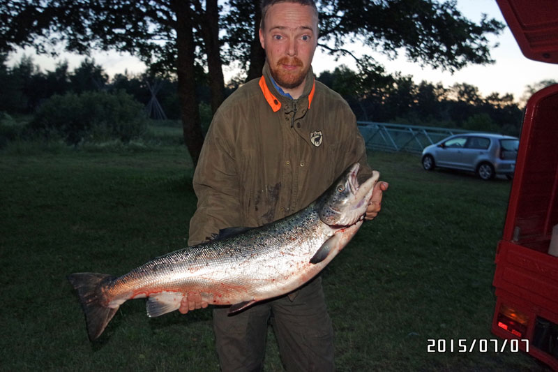 Nicklas Mattsson Lax 9,44 kg, Älvkarleby