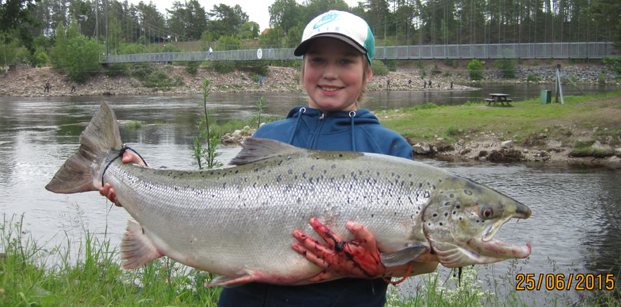 Sebbe med storlax. 17,85kg
